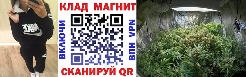 Наркотические вещества Пущино Марихуана  ГАШ 