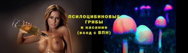сатива Покров