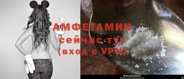 ГАЛЛЮЦИНОГЕННЫЕ ГРИБЫ Пестово
